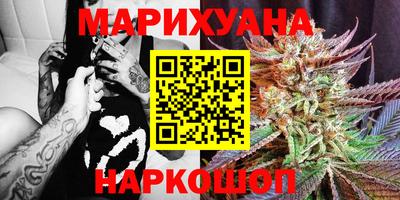 прущие грибы Будённовск