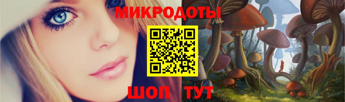 Псилоцибиновые грибы Psilocybe Котлас